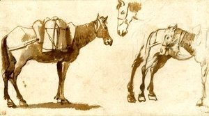 Drawing of mules, including one full length