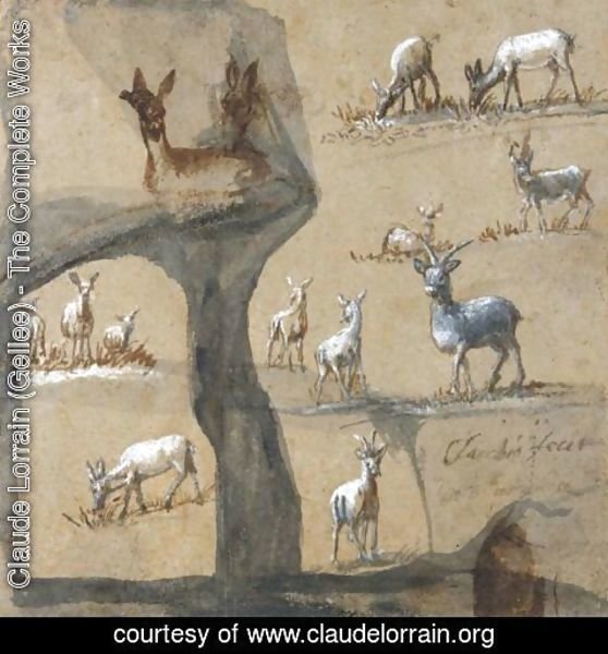 Claude Lorrain (Gellee) - A Sheet Of Studies Of Deer